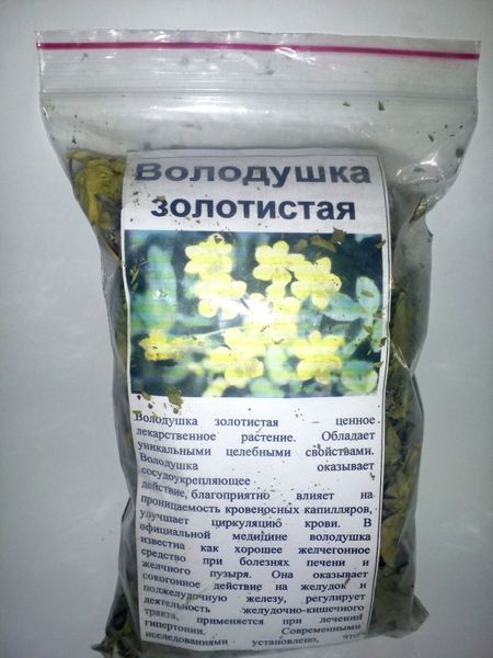 Володушка золотистая, трава сухая, 40 грамм. 1215133672 фото