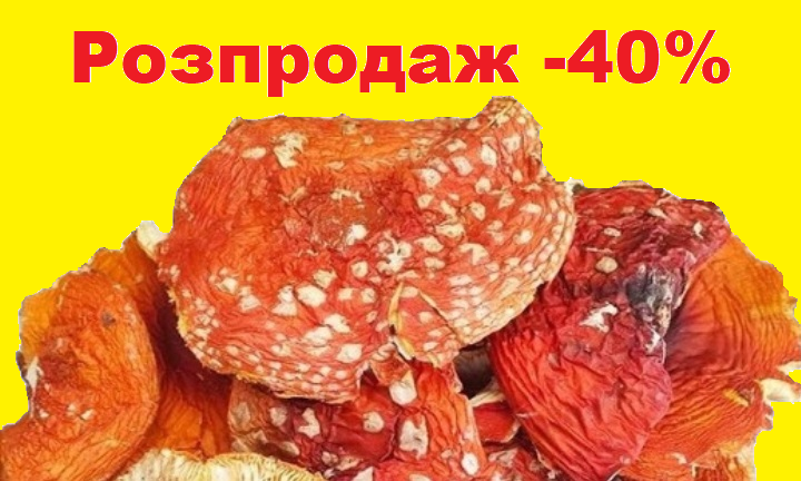 Подвійний банер 715 х 432 (1)