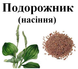 Подорожник насіння, 50 грам. 2793514969 фото 2