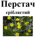 Перстач сріблястий (запни дупу), трава суха, 40 грам. 1220896245 фото 2