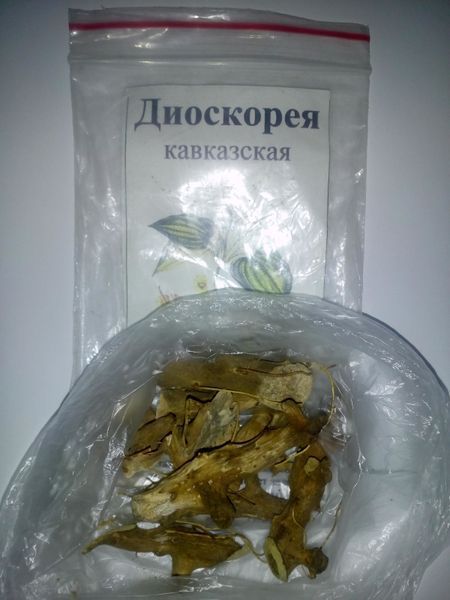 Діоскорея кавказька, корінь сухий, 35 грам. 1215165302 фото