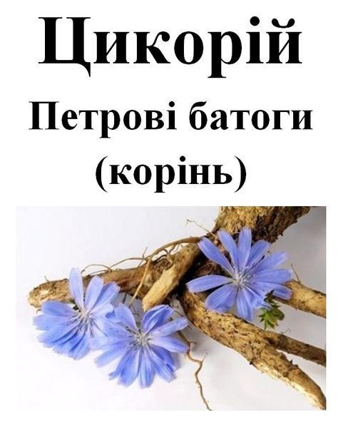 Цикорій корінь, 50 грам. 1241002912 фото