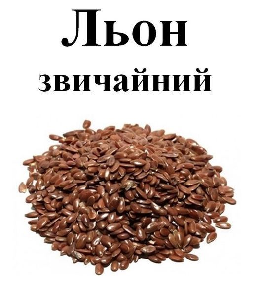 Льон звичайний, 100 грам. 1220905019 фото