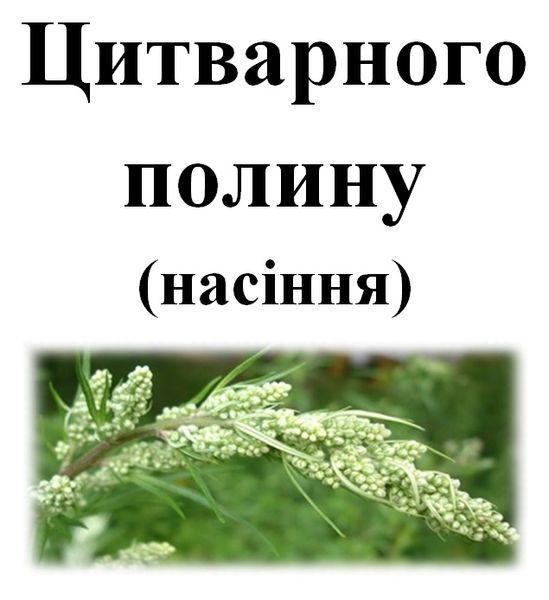 Цитварне насіння (насіння полину цитварного), 10 грам. 1241010443 фото