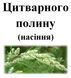 Цитварне насіння (насіння полину цитварного), 10 грам. 1241010443 фото 2