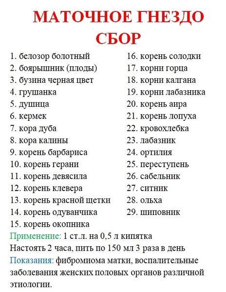 Сбор/чай маточное гнездо №1 (противоопухолевое), 100 грамм 1725259583 фото