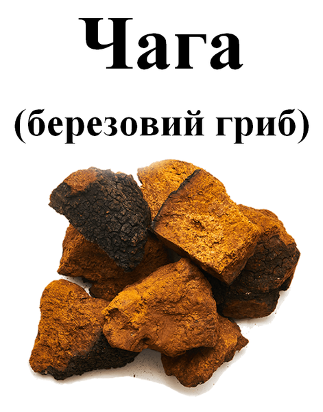 Чага (черный березовый гриб), гриб сухой, 100 грамм. 1241011189 фото