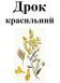 Дрок красильный, трава сухая, 35 грамм. 1215173504 фото 2