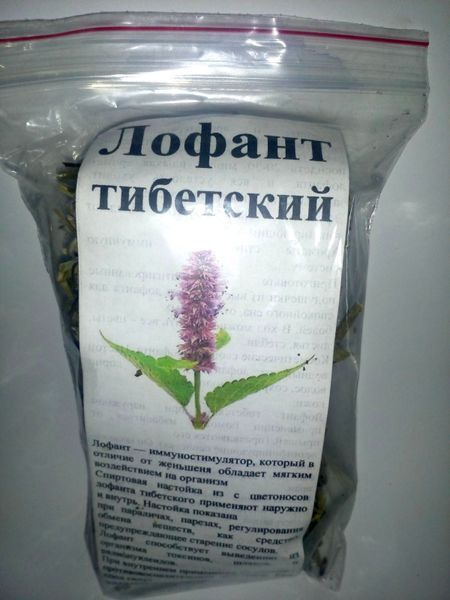 Лофант тибетський, трава суха, 30 грам. 1220916044 фото