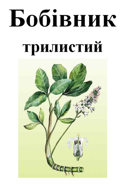 Вахта трехлистная (бобівник трилистий), трава сухая, 30 грамм. 1209640184 фото