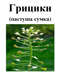 Пастуша сумка (грицики), трава суха, 35 грамм. 1232601240 фото 2