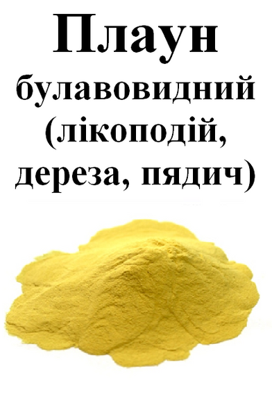 Плаун булавовидный (ликоподий, дереза, пядич), споры/пыльца, 20 грамм. 1609554853 фото