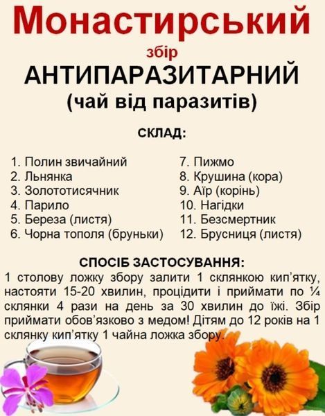 Монастирський збір/чай антипаразитарний (чай від паразитів), 140-150 грам 1197207483 фото