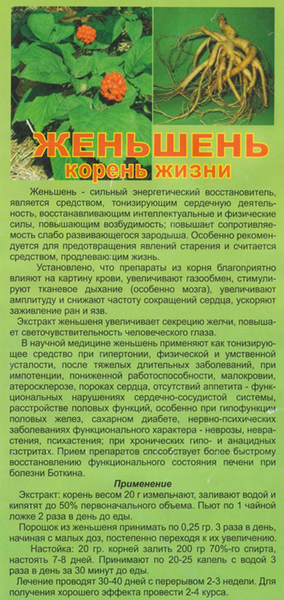 Женьшень (корінь життя), корінь сухий, 10 грам. 1215191520 фото