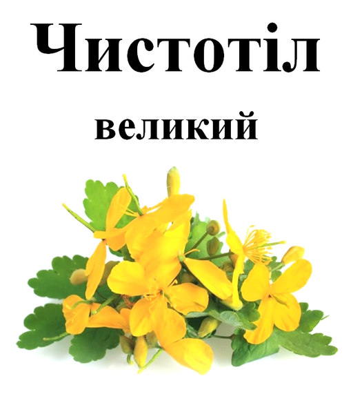 Чистотіл великий, трава суха, 40 грам. 1241014961 фото