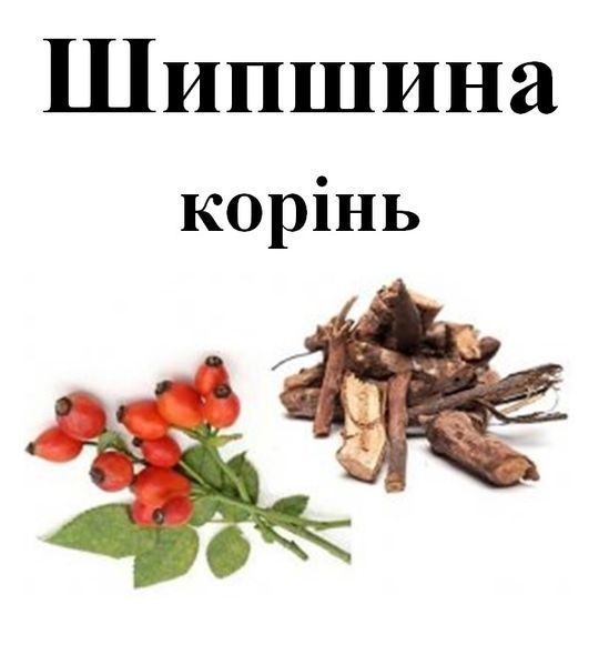 Шиповник корень, 80 грамм. 1241016441 фото