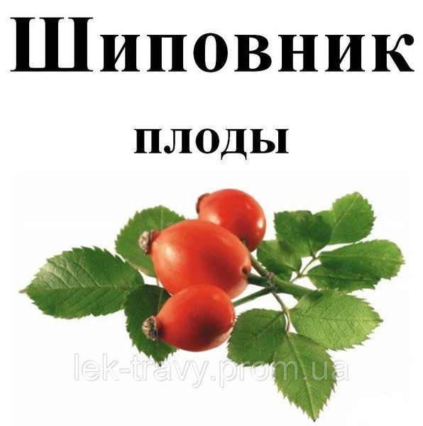 Шипшина плоди,100 грам. 1241019058 фото