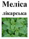 Мелисса лекарственная, трава сухая, 40 грамм. 1220936659 фото 2
