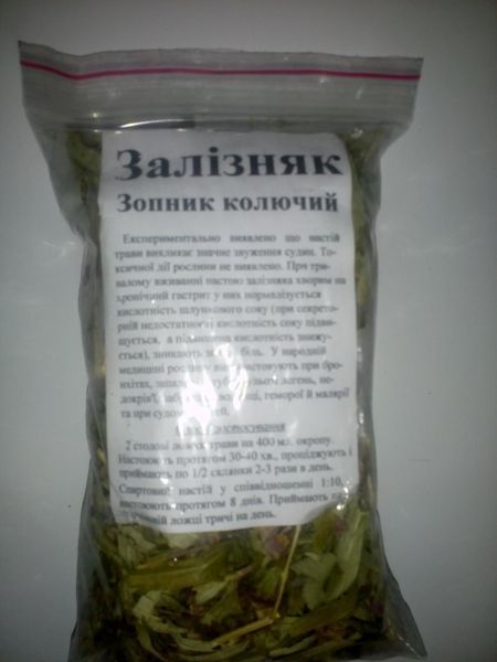 Залізняк (зопник колючий), трава суха, 35 грам. 1215221840 фото