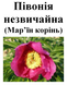 Пион уклоняющийся (марьин корень), 30 грамм 2111923124 фото 2