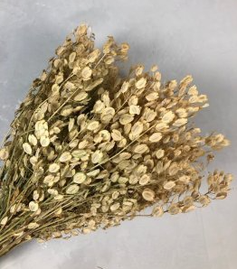 Конвалія звичайна, цвіт сушений, 10 грам 2111925197 фото