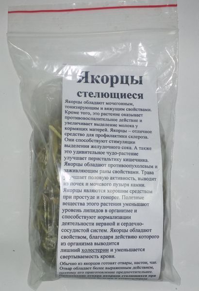 Якірці сланкі, трава сухая, 40 грам. 1241027326 фото