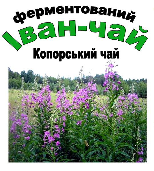 Іван-чай ферментований (чорний), 100 грам 1209148443 фото