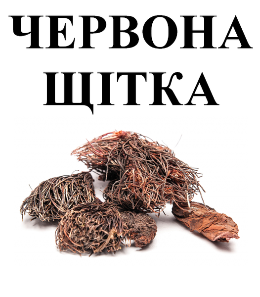 Червона щітка корінь, 25 грамм. 1219914715 фото