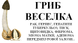 Гриб веселка сухой, 30 пакетиков по 1 г 1209154161 фото 2