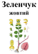 Зеленчук желтый, трава сухая, 30 грамм. 1215225689 фото 2