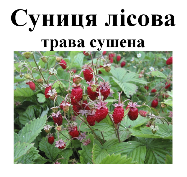 Суниця лісова, сушена трава, 30 грам. 1215227162 фото