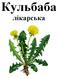 Кульбаба лікарська корінь, 50 грам. 1220994840 фото 2