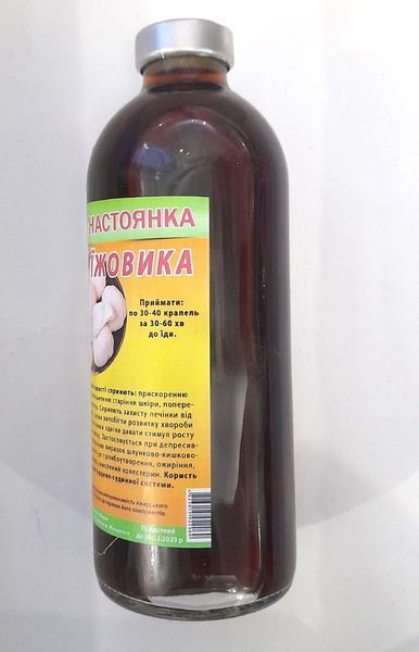 Настойка гриба ежевика, 250 мл 2835551982 фото