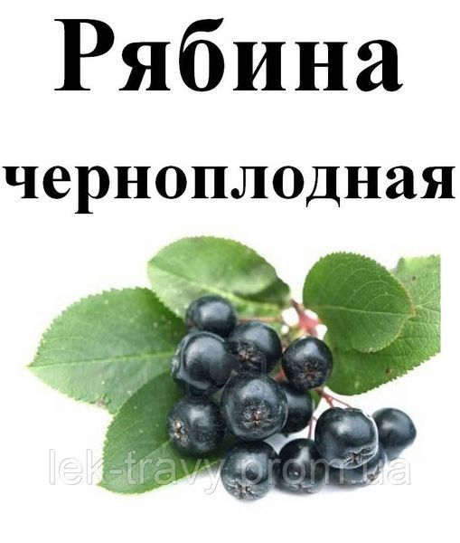 Рябина черноплодная, ягода сухая, 80 грамм. 1240959452 фото