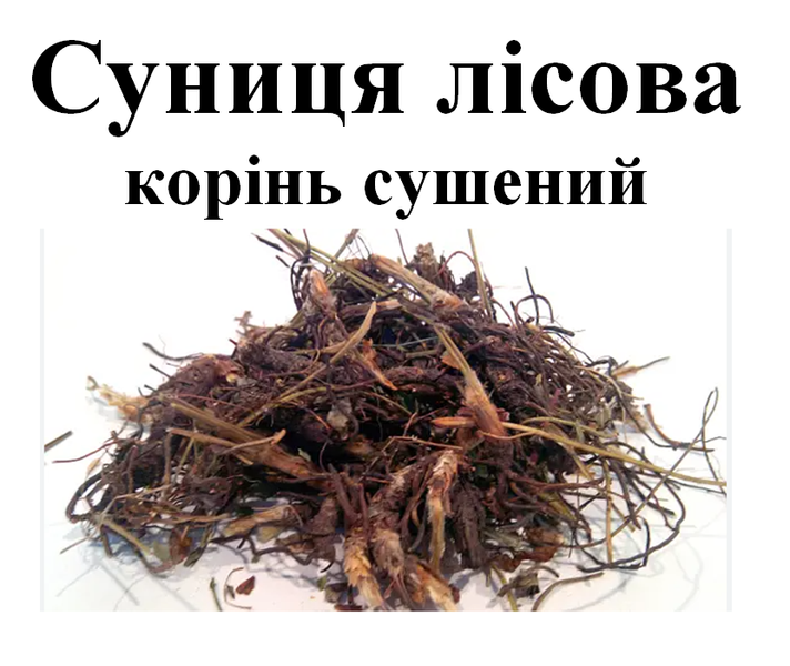 Суниця лісова, корінь сухий, 30 грамів. 1679511945 фото