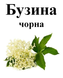 Бузина чорна, цвіт сушений, 30 грам. 1209649384 фото 2