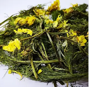 Адоніс весняний/горицвіт весняний, трава суха, 30 грам. 1209545743 фото