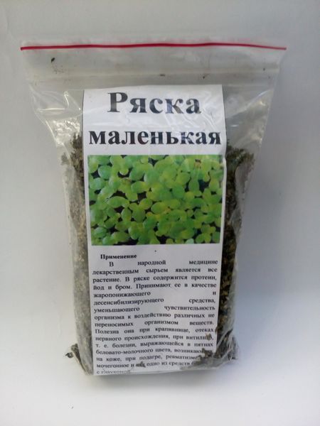 Ряска маленькая, трава сухая, 40 грамм. 1696555762 фото