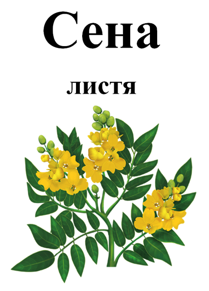 Лист сенны, 50 грамм. 1240967779 фото