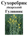 Гулявник лекарственный, трава сухая, 30 грамм. 2034974498 фото 2