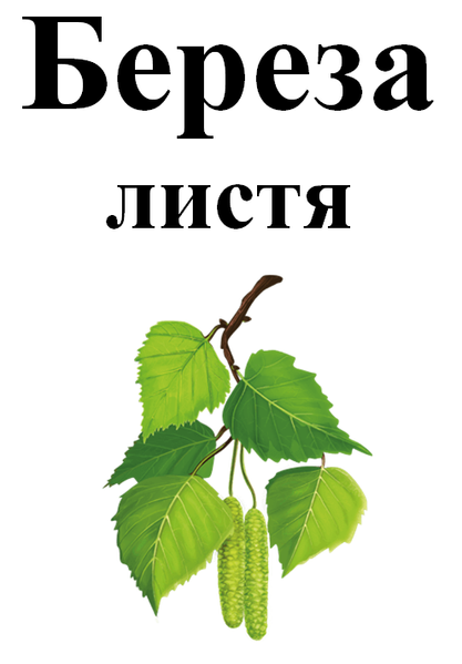 Лист березы, 30 грам. 1571406963 фото