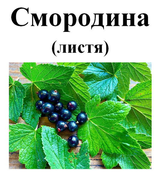 Смородина, лист сушений, 30 грам. 2321289592 фото