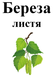Лист березы, 30 грам. 1571406963 фото 2