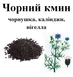 Чорний кмин/чорнушка/калінджі/нигелла, насіння, 50 грам. 1215126620 фото 2