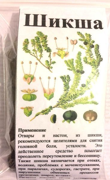 Шикша, трава сухая, 30 грамм. 1708695279 фото