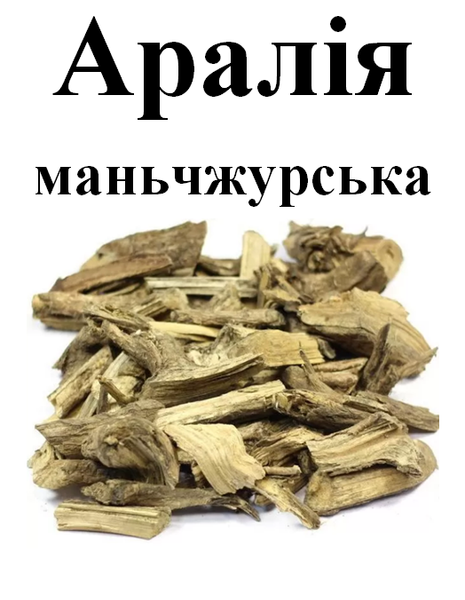 Аралія маньчжурська, корінь сухий, 50 грам. 1708757968 фото