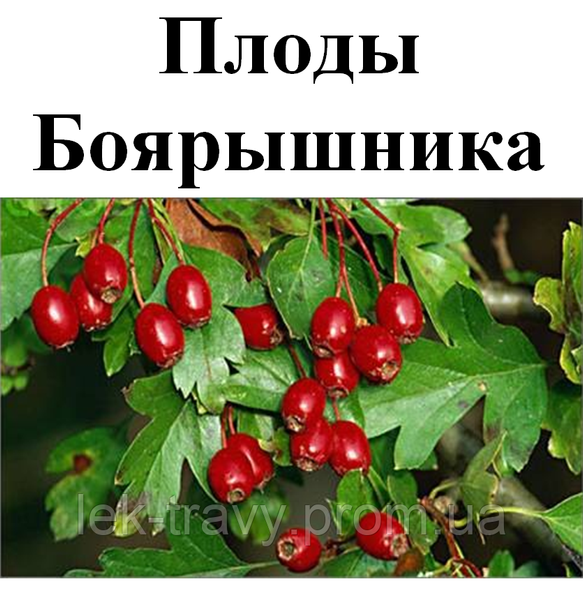 Глід плоди сушені, 100 грам. 1209616178 фото