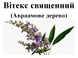 Витекс священный/Авраамово дерево, семена, 20 грамм. 1215131709 фото 2