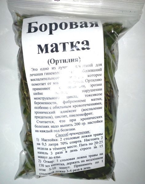 Боровая матка (ортилия однобокая), трава сухая, 35 грамм. 1209625277 фото