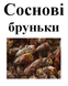 Соснові бруньки, 50 грамм. 1240976824 фото 2